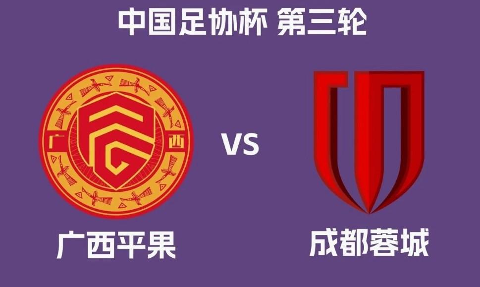 前田浩二谈足协杯：力求精准抓住对手的破绽，以期赢得比赛胜利